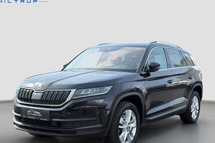 Skoda Kodiaq 193.500 km 16.970 &euro; Münster - Hiltrup 48165