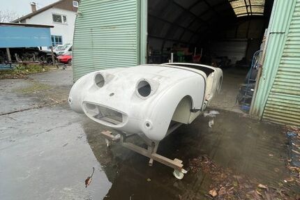 Austin Healey Andere