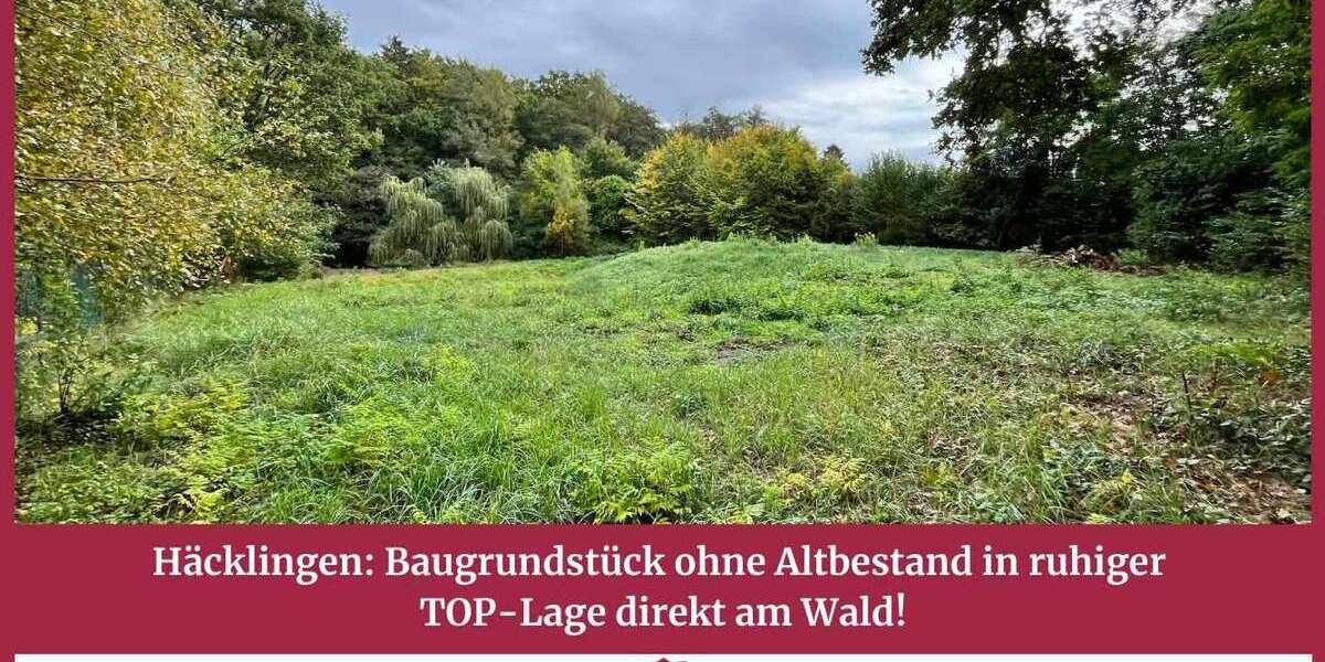 Grundstück Lüneburg / Häcklingen Häcklingen - 499.999&euro; | Angebot:24818049