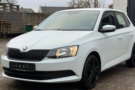 Skoda Fabia 197.000 km 5.990 &euro; Rostock 18119