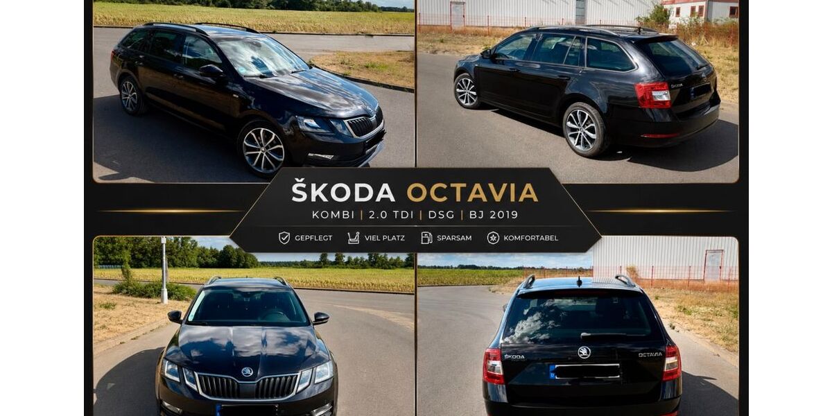 Skoda Octavia 162.500 km 13.495 &euro; Zerbst 39261