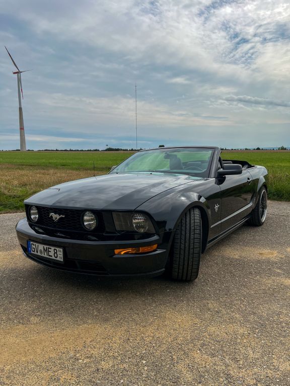 Mustang
