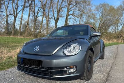 VW Beetle