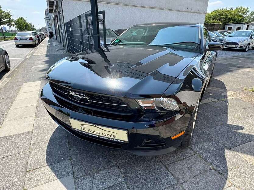 Mustang