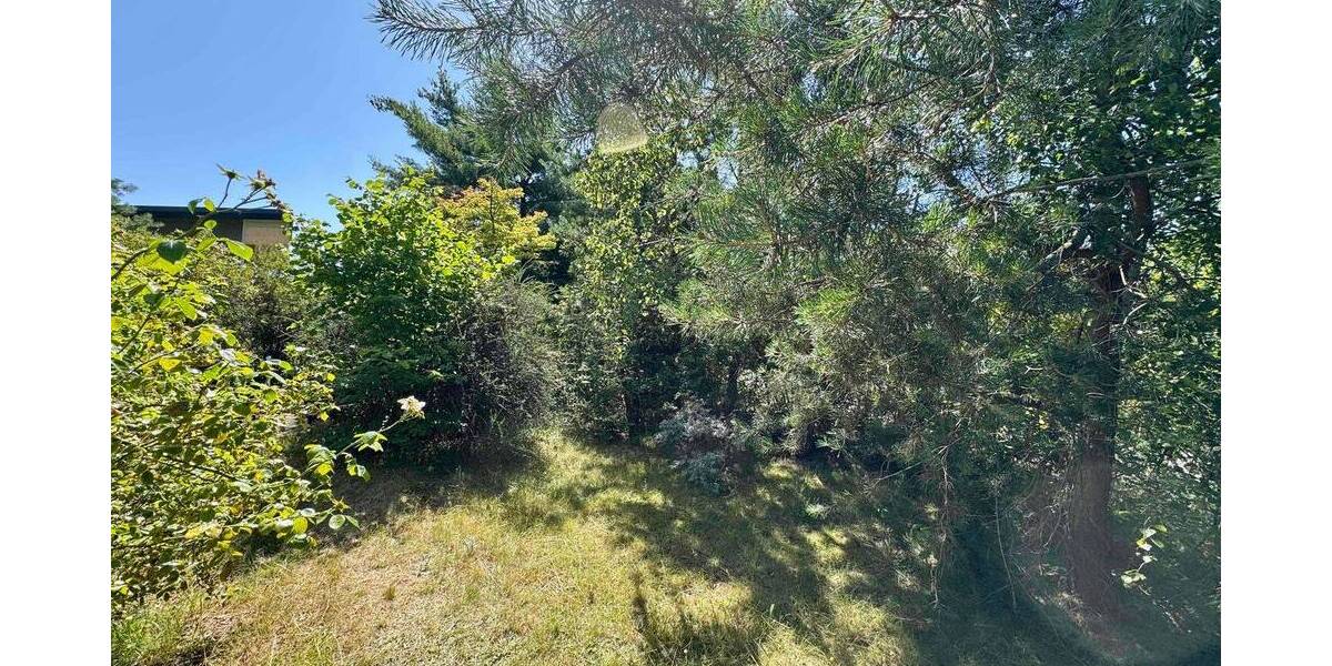 Bungalow Großkmehlen Kleinkmehlen - 3 Zimmer, 40 m&sup2;, 25.000&euro; | Angebot:25797637