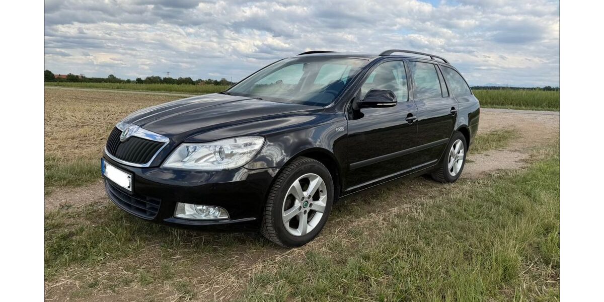 Skoda Octavia 265.520 km 3.600 &euro; Taufkirchen 82024