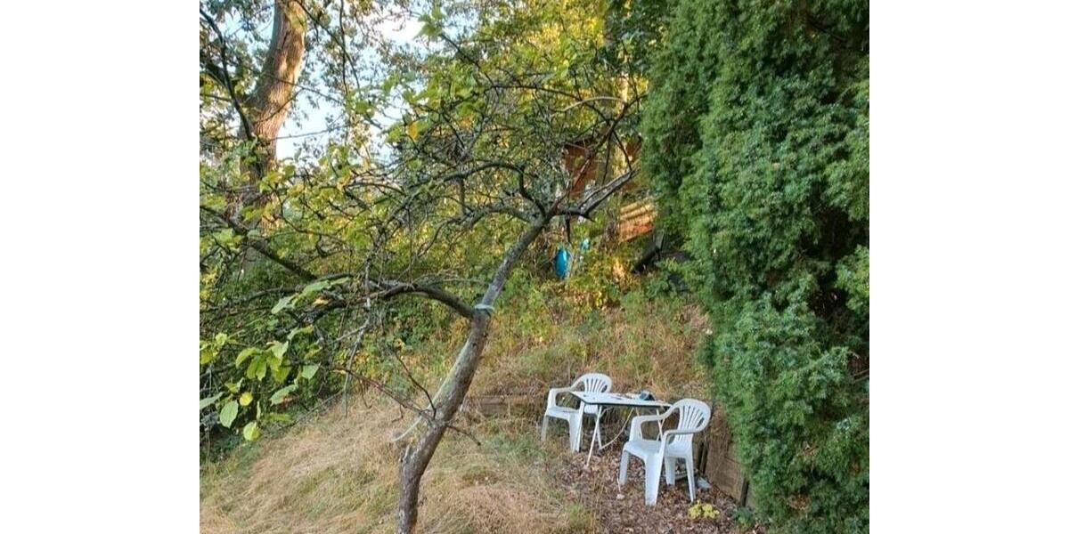 Grundstück Stadtroda - 10.000&euro; | Angebot:26089427