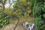 Grundstück Stadtroda - 10.000&euro; | Angebot:26089427