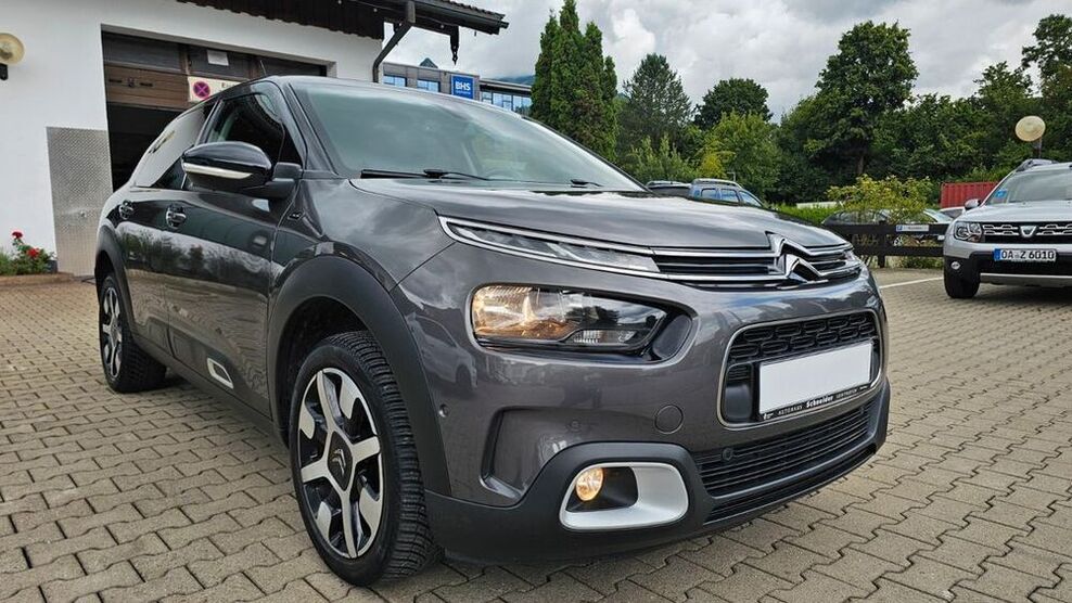 C4 Cactus