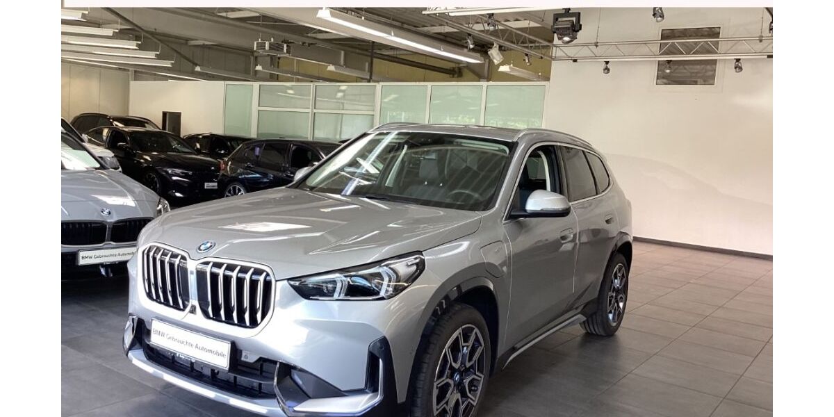BMW X1 17.500 km 47.933 &euro; Pleisweiler-Oberhofen 76889