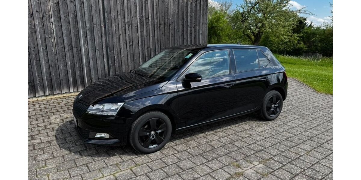 Skoda Fabia 51.000 km 11.999 &euro; Wildberg 72218