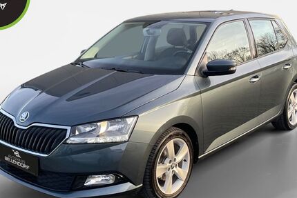 Skoda Fabia 10.011 km 13.940 &euro; Bottrop 46244