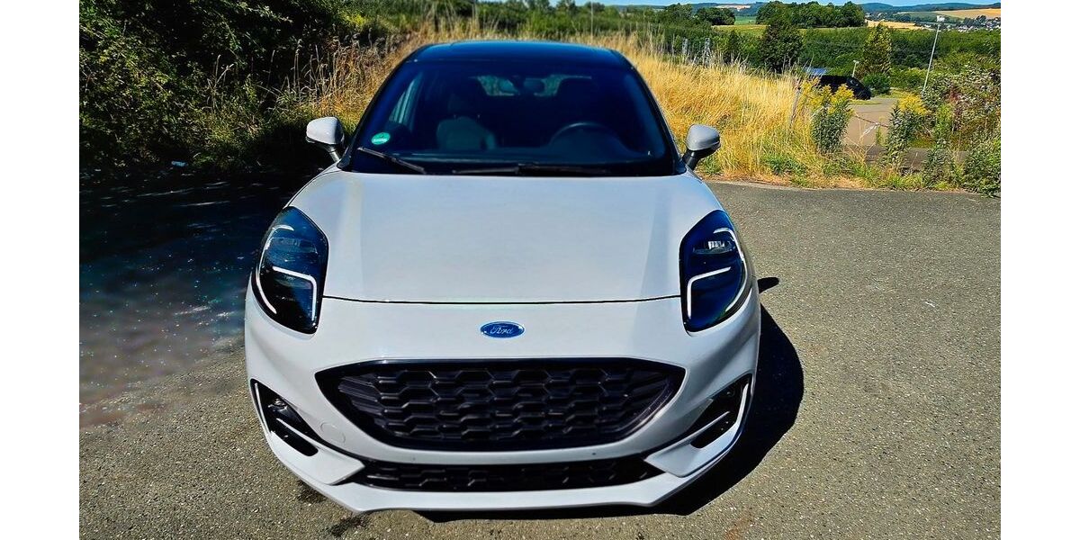 Ford Puma 89.000 km 14.290 &euro; Muldenhammer 08262