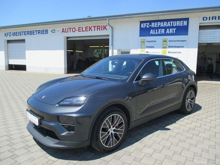 Macan