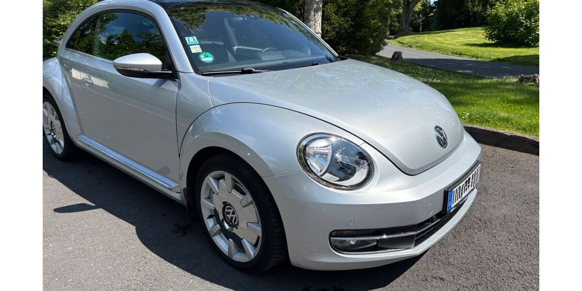VW Beetle 96.000 km 8.500 &euro; Königstein 61462