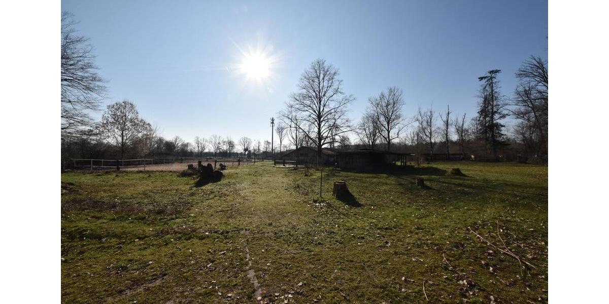 Gewerbeobjekt Seligenstadt - 1.300&euro; | Angebot:25431487