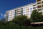 Erdgeschoßwohnung Chemnitz Adelsberg - 2 Zimmer, 44 m&sup2;, 250&euro; | Angebot:26682179