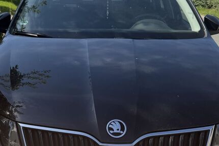Skoda Octavia 196.850 km 8.250 &euro; Borchen 33178