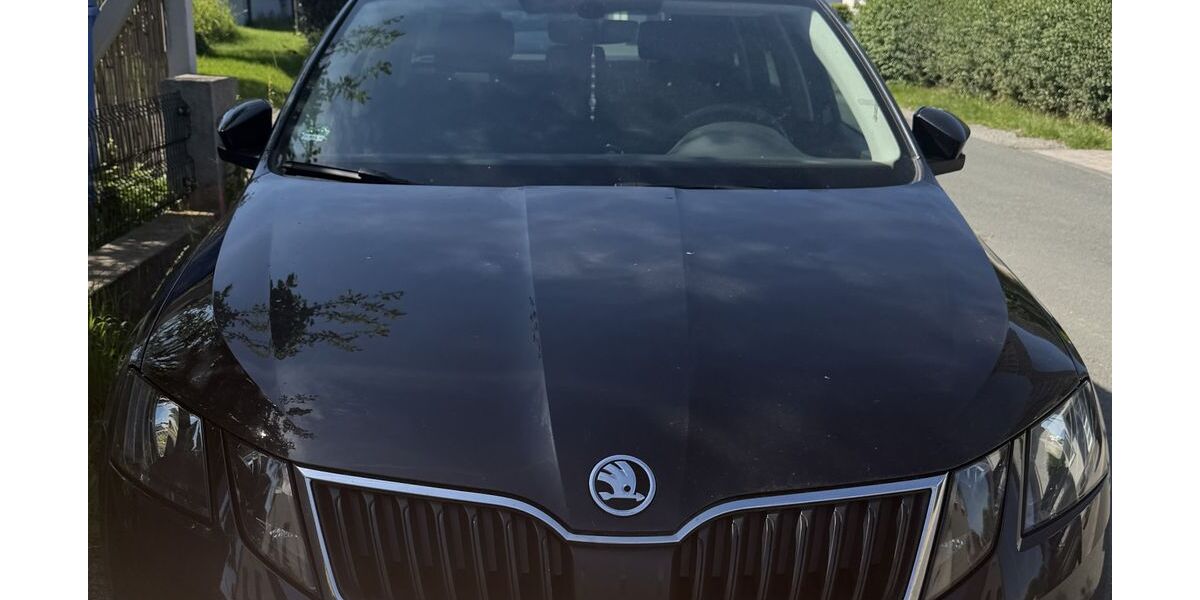 Skoda Octavia 196.850 km 8.450 &euro; Borchen 33178