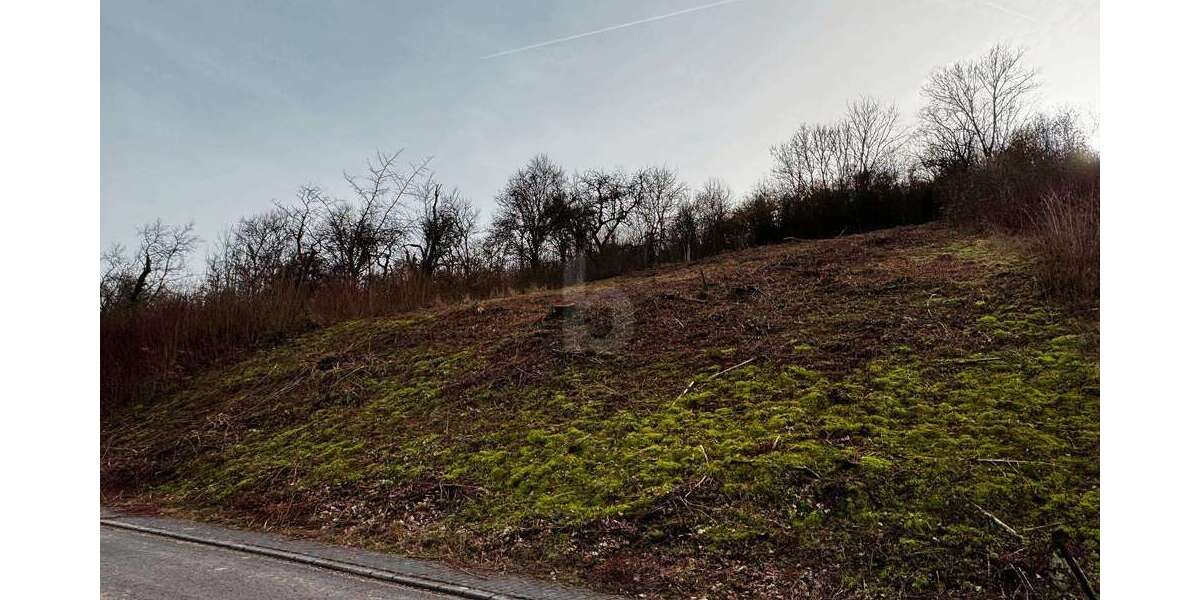Grundstück Welschbillig - 79.000&euro; | Angebot:26426051