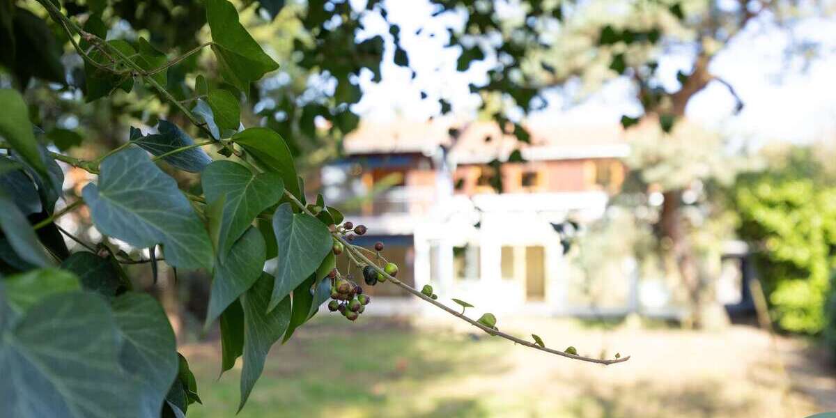 Einfamilienhaus Ingelheim am Rhein - 5 Zimmer, 223 m&sup2;, 649.000&euro; | Angebot:25512405