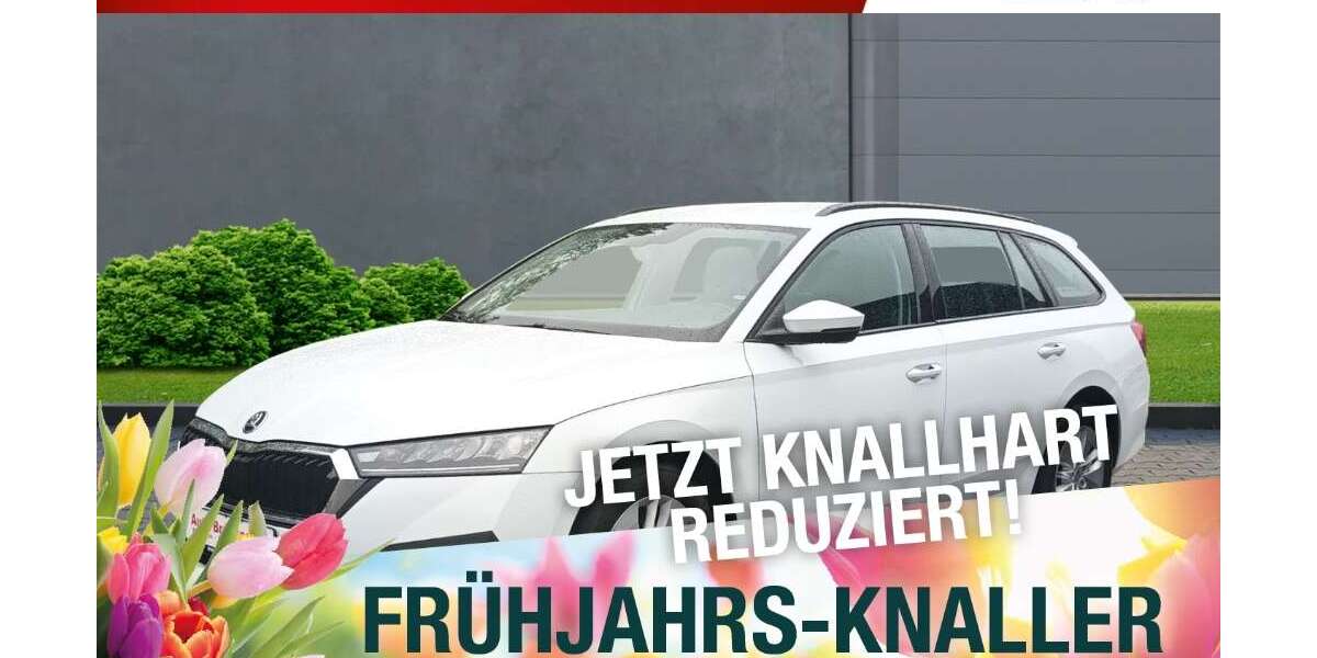 Skoda Octavia 125.734 km 17.690 &euro; Meiningen 98617