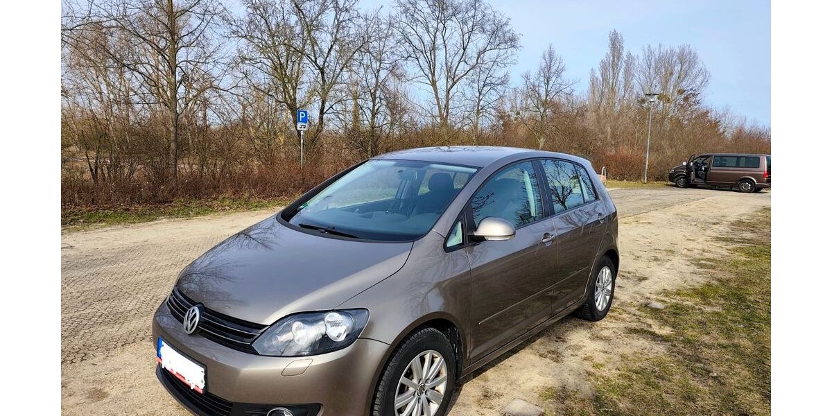 VW Golf Plus 168.000 km 5.690 &euro; Bitterfeld-Wolfen 06766