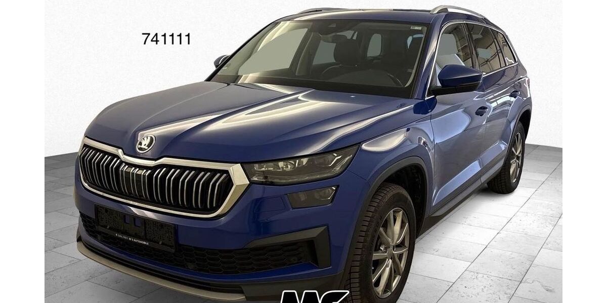 Skoda Kodiaq 205.417 km 20.950 &euro; Steinbach-Hallenberg OT Herges-Hallenberg 98587
