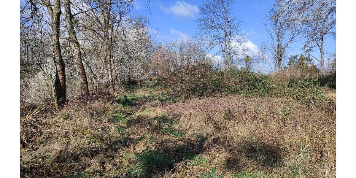 Grundstück Machern - 185.000&euro; | Angebot:24036204