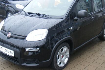 Fiat Panda 44.886 km 11.900 &euro; Weiden 92637