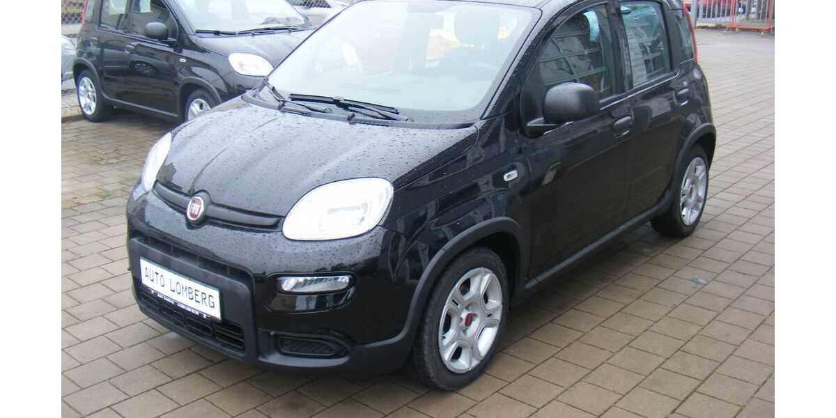 Fiat Panda 44.886 km 11.900 &euro; Weiden 92637