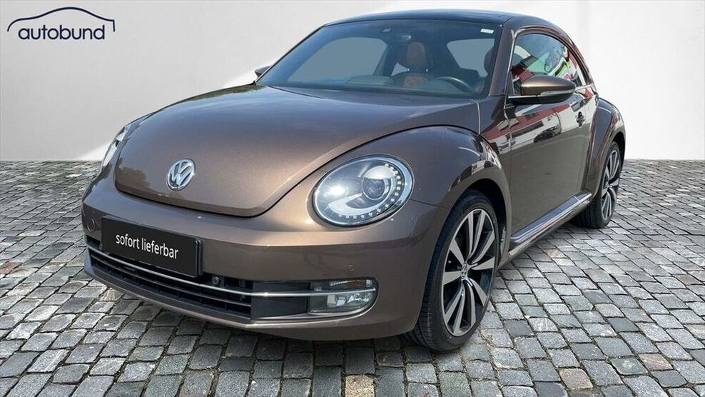 Beetle