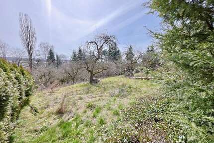 Grundstück Erbach - 1.576.000&euro; | Angebot:26095195