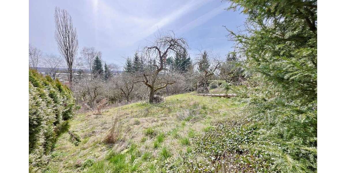 Grundstück Erbach - 1.576.000&euro; | Angebot:26095195