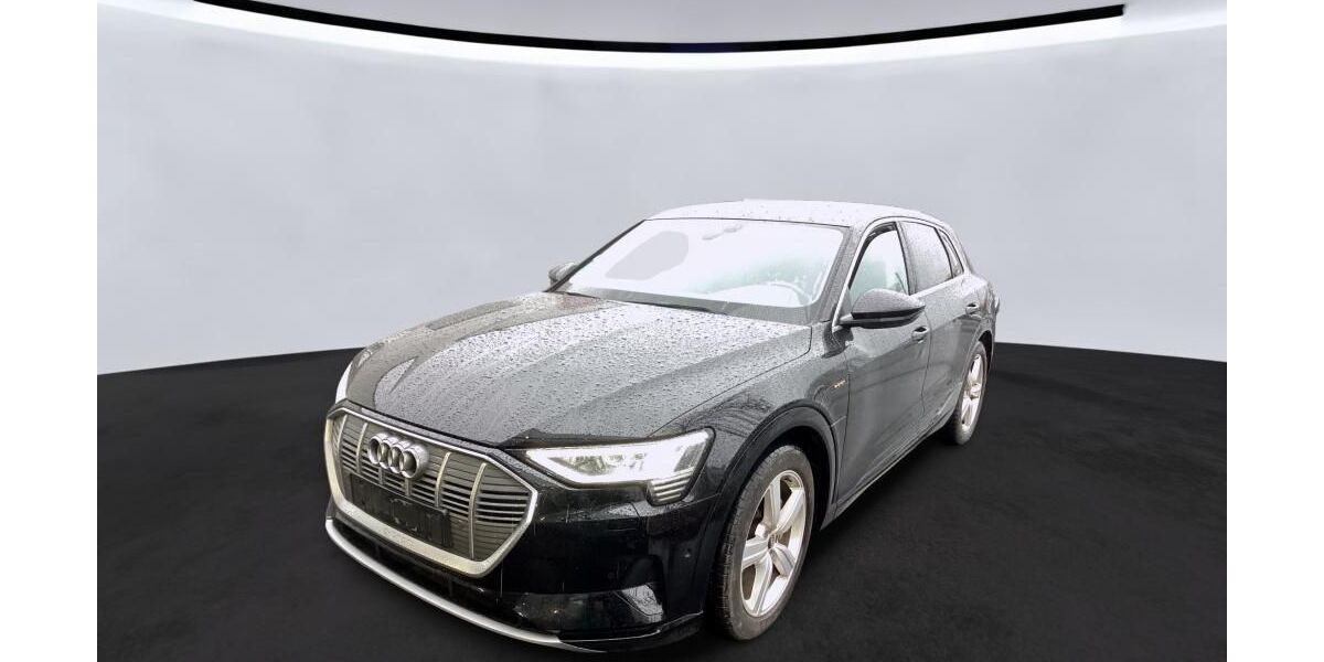Audi e-tron 45.653 km 27.944 &euro; Hagen 58091