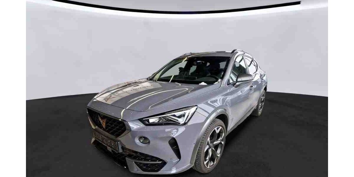 Cupra Formentor 26.600 km 27.249 &euro; Büdingen-Düdelsheim 63654