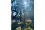 Bungalow Schönebeck (Elbe) Pretzien - 3 Zimmer, 35 m&sup2;, 24.999&euro; | Angebot:26956885
