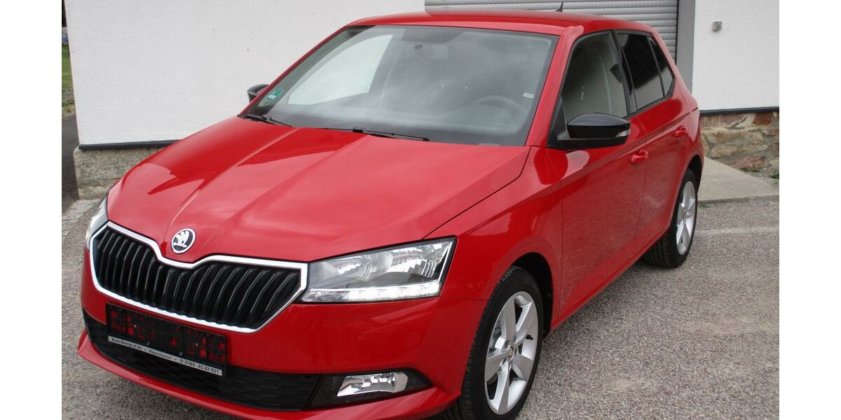 Skoda Fabia 60.000 km 9.500 &euro; Rippershausen 98639
