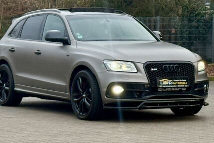 Audi SQ5 229.000 km 20.990 &euro; Lampertheim 68623