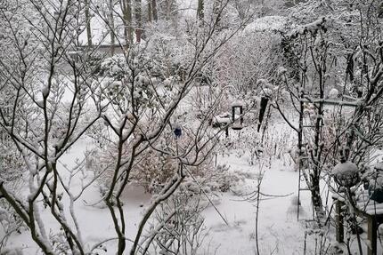 Wohnung Berlin Charlottenburg-Wilmersdorf - 4 Zimmer, 126 m&sup2;, 1.000.000&euro; | Angebot:25069381