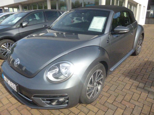 Beetle