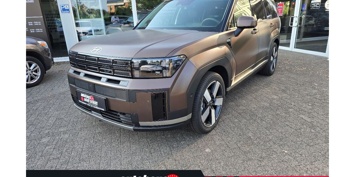 Hyundai SANTA FE 3.801 km 49.980 &euro; Hagenow 19230