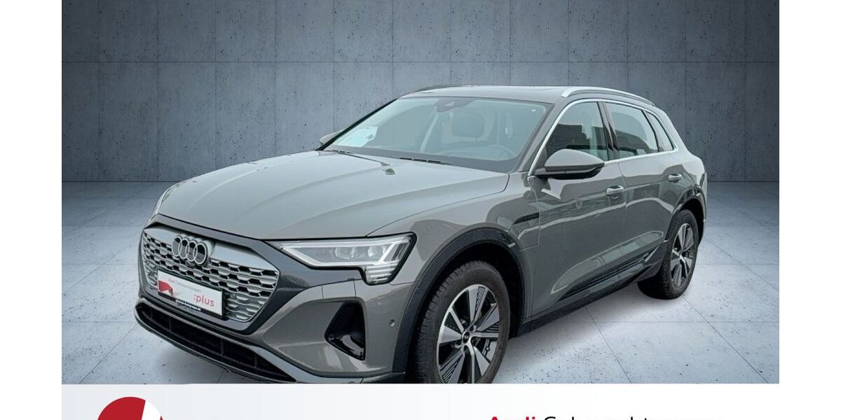 Audi Q8 e-tron 8.388 km 59.960 &euro; Neutraubling 93073