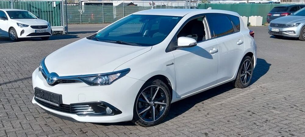 Auris