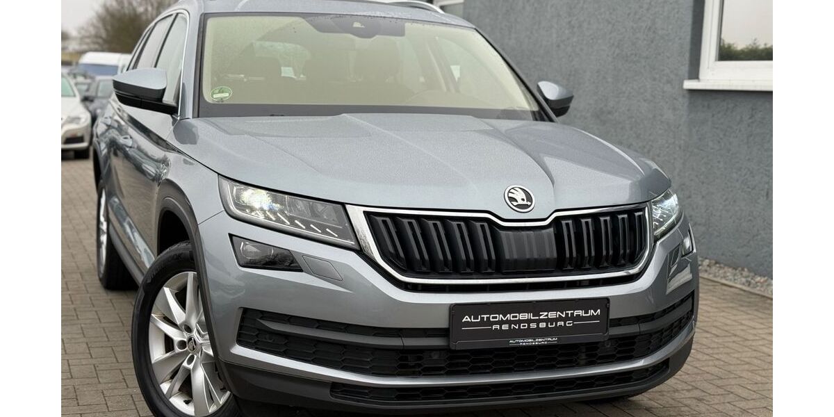 Skoda Kodiaq 191.000 km 20.499 &euro; Rendsburg 24768