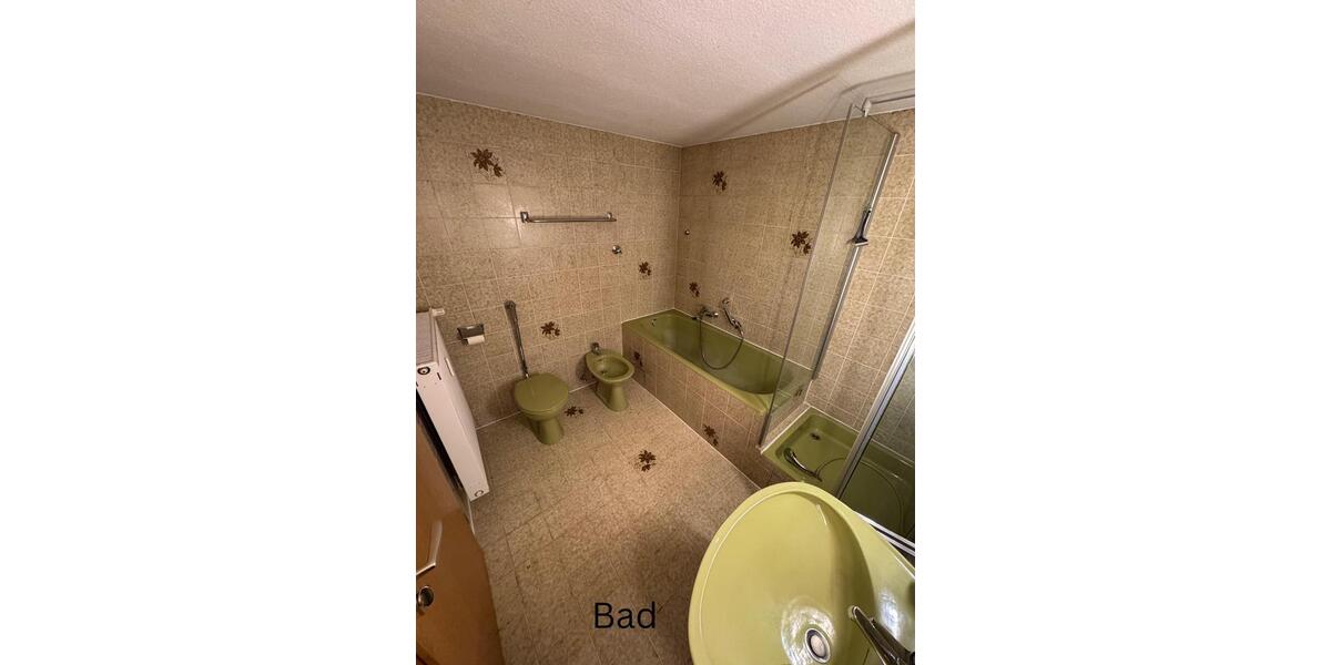 Dachgeschoßwohnung Ludwigshafen am Rhein Ludwigshafen-Oggersheim - 2.5 Zimmer, 70 m&sup2;, 800&euro; | Angebot:25614307