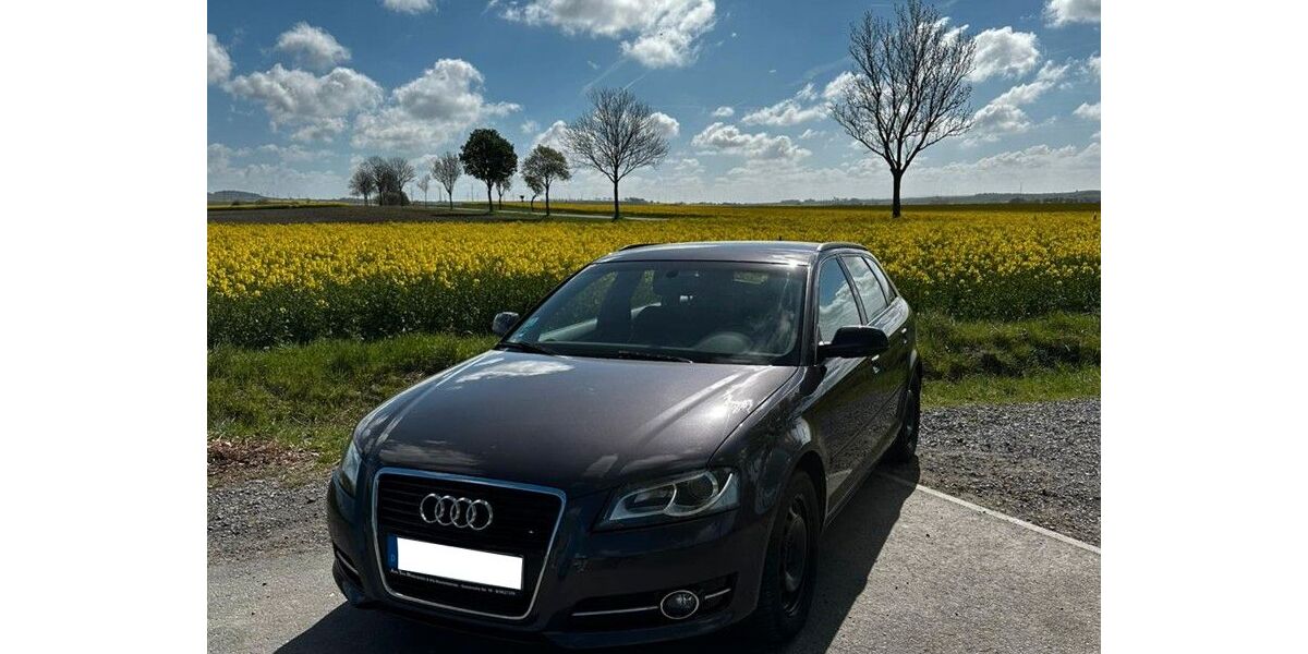 Audi A3 152.529 km 7.999 &euro; Kissenbrück 38324