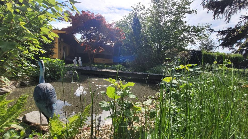 Einfamilienhaus Weißwasser (Oberlausitz) - 9 Zimmer, 226 m&sup2;, 195.000&euro; | Angebot:26898390