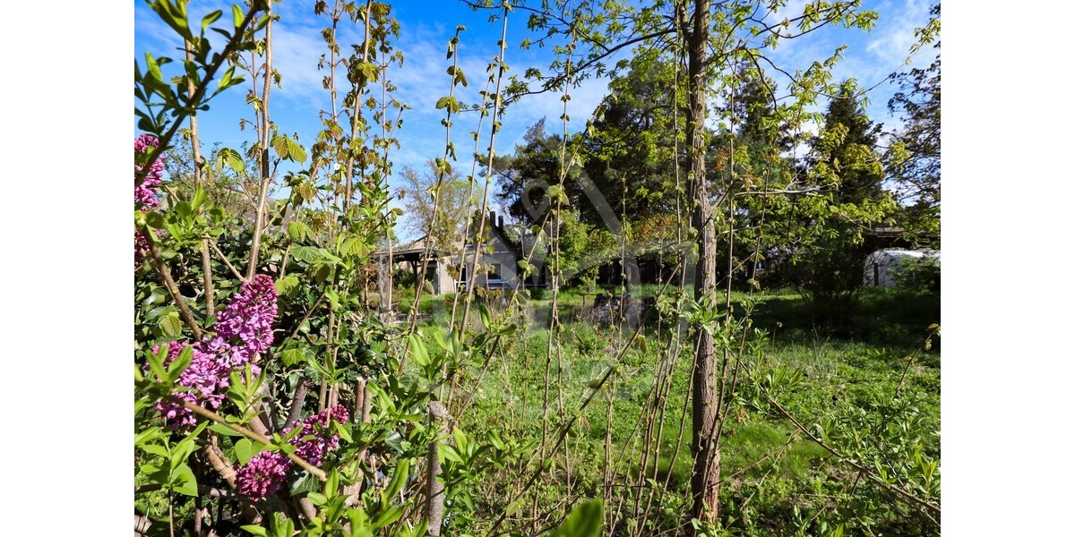 Sanierungsgrundstück mit Entwicklungspotenzial in Petershagen - Einfamilienhaus Petershagen-Eggersdorf Eggersdorf | Angebot:24946555