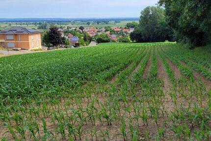 Grundstück Holzheim Eppisburg - 485.000&euro; | Angebot:25668362